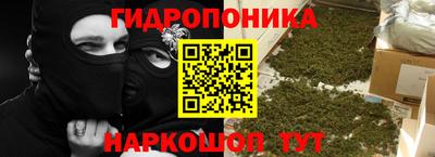 ALPHA PVP Бийск